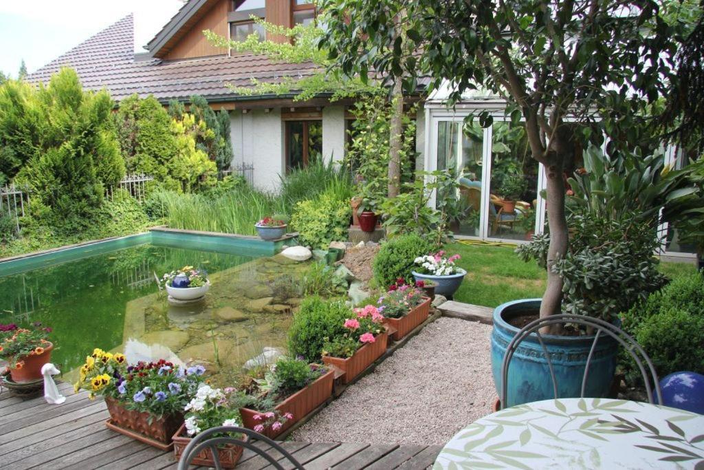 Bed & Breakfast Wepfer Grüt Exterior foto
