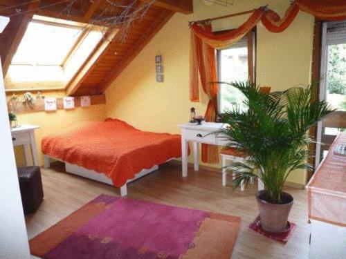 Bed & Breakfast Wepfer Grüt Quarto foto